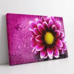 Pembe Çiçek Makro | Kanvas Tablo | Cam Tablo | Mdf Tablo | A03523