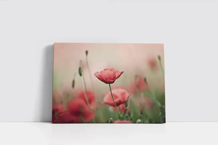 Çiçekler | Kanvas Tablo | Cam Tablo | Mdf Tablo | A03526 - Görsel 2