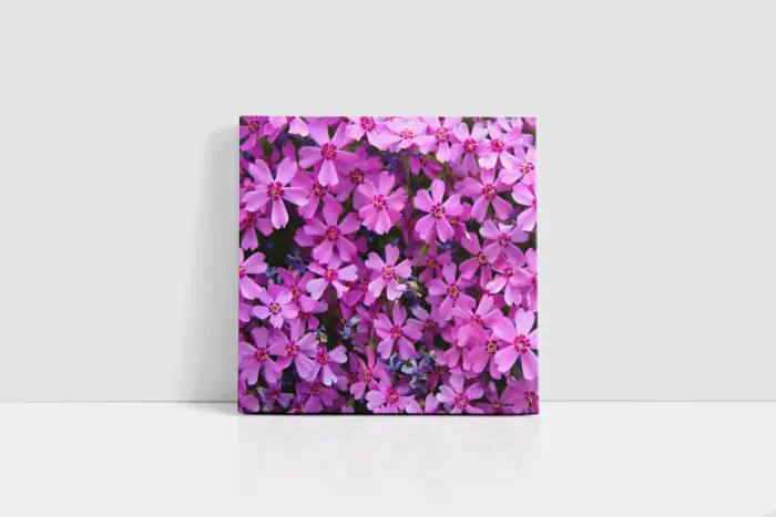 Lila Rengi Çiçekler | Kanvas Tablo | Cam Tablo | Mdf Tablo | A03529 - Görsel 2