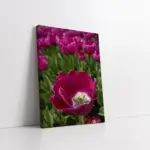 Çiçek | Kanvas Tablo | Cam Tablo | Mdf Tablo | A03534