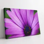 Lila Çiçek Makro Çekim | Kanvas Tablo | Cam Tablo | Mdf Tablo | A03546