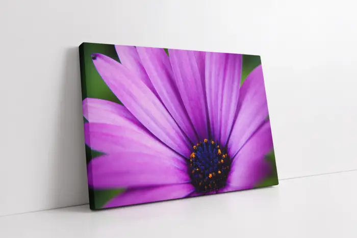 Lila Çiçek Makro Çekim | Kanvas Tablo | Cam Tablo | Mdf Tablo | A03546 - Görsel 1