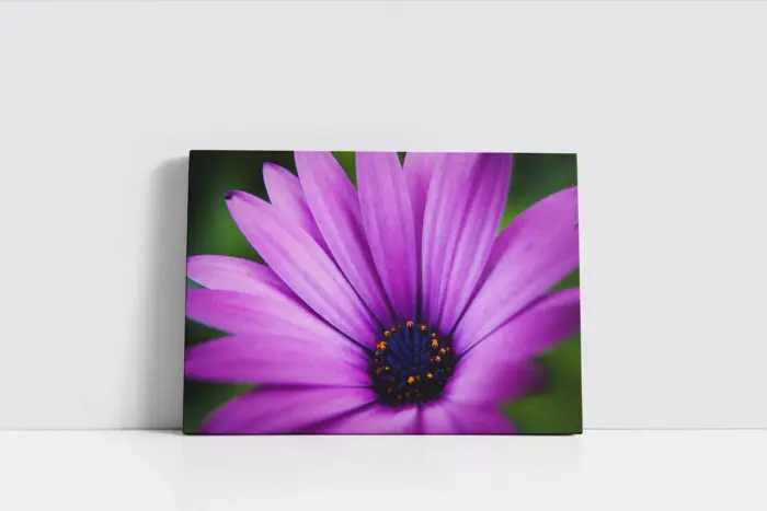Lila Çiçek Makro Çekim | Kanvas Tablo | Cam Tablo | Mdf Tablo | A03546 - Görsel 2