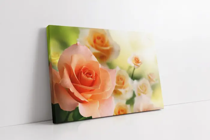 Soft Pembe Güller | Kanvas Tablo | Cam Tablo | Mdf Tablo | A03547 - Görsel 1
