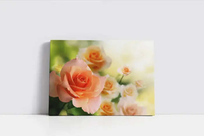 Soft Pembe Güller | Kanvas Tablo | Cam Tablo | Mdf Tablo | A03547 - Görsel 2