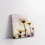 Papatya Yakın Çekim | Kanvas Tablo | Cam Tablo | Mdf Tablo | A03597