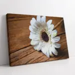 Yakın Çekim Beyaz Çiçek | Kanvas Tablo | Cam Tablo | Mdf Tablo | A03603