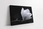 Saf Beyaz Çiçek | Kanvas Tablo | Cam Tablo | Mdf Tablo | A03615