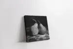 Siyah Beyaz Armut | Kanvas Tablo | Cam Tablo | Mdf Tablo | A03628