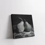 Siyah Beyaz Armut | Kanvas Tablo | Cam Tablo | Mdf Tablo | A03628