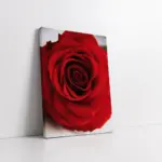 Makro Gül | Kanvas Tablo | Cam Tablo | Mdf Tablo | A03641