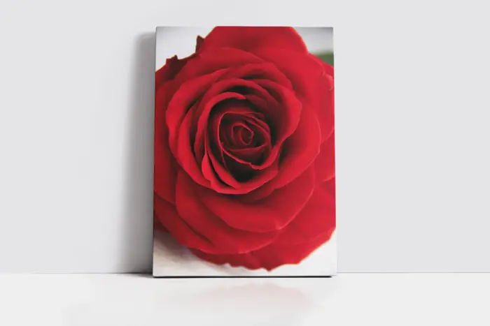 Makro Gül | Kanvas Tablo | Cam Tablo | Mdf Tablo | A03641 - Görsel 2