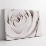 Gülün Saflığı | Kanvas Tablo | Cam Tablo | Mdf Tablo | A03642