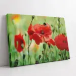 Kırmızı Çiçek | Kanvas Tablo | Cam Tablo | Mdf Tablo | A03644