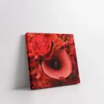 Yakın Çekim Gül | Kanvas Tablo | Cam Tablo | Mdf Tablo | A03648