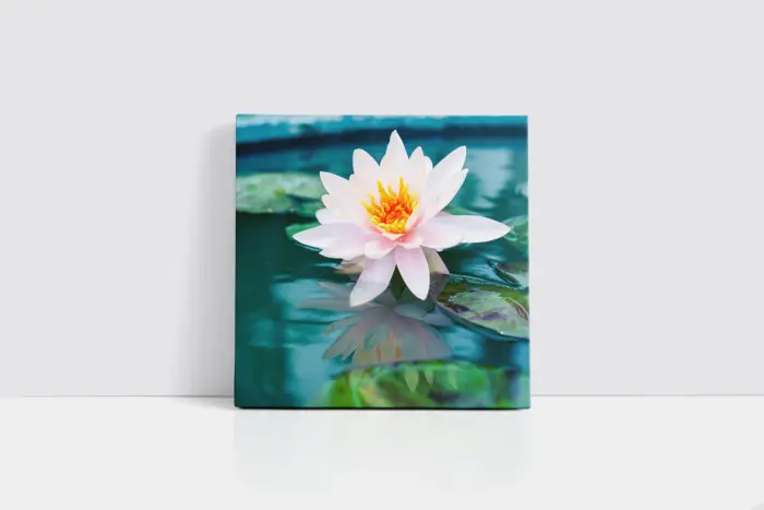 Beyaz Nilüfer | Kanvas Tablo | Cam Tablo | Mdf Tablo | A03649 - Görsel 2