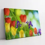 Lalelerin Dansı | Kanvas Tablo | Cam Tablo | Mdf Tablo | A03651