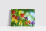 Lalelerin Dansı | Kanvas Tablo | Cam Tablo | Mdf Tablo | A03651 - Görsel 2