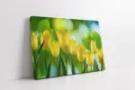 Sarı Laleler | Kanvas Tablo | Cam Tablo | Mdf Tablo | A03652