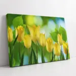 Sarı Laleler | Kanvas Tablo | Cam Tablo | Mdf Tablo | A03652