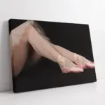 Balerin | Kanvas Tablo | Cam Tablo | Mdf Tablo | A05039