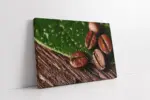 Makro Kahve Çekirdeği | Kanvas Tablo | Cam Tablo | Mdf Tablo | A07098