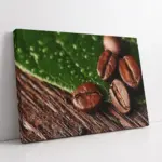 Makro Kahve Çekirdeği | Kanvas Tablo | Cam Tablo | Mdf Tablo | A07098