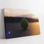 Makro Tenis Topu | Kanvas Tablo | Cam Tablo | Mdf Tablo | A07168