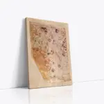 Piri Reis Haritası 1513 | Kanvas Tablo | Cam Tablo | Mdf Tablo | A12074