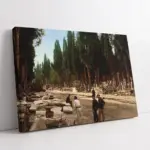 Eski İstanbul | Kanvas Tablo | Cam Tablo | Mdf Tablo | A16352