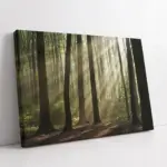 Orman | Kanvas Tablo | Cam Tablo | Mdf Tablo | A20002