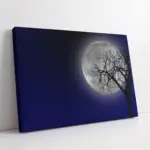 Dolunay | Kanvas Tablo | Cam Tablo | Mdf Tablo | A20007