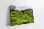 Yeşil Doğa | Kanvas Tablo | Cam Tablo | Mdf Tablo | A20012