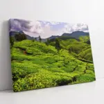 Yeşil Doğa | Kanvas Tablo | Cam Tablo | Mdf Tablo | A20012