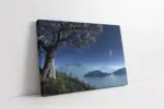 Tek Ağaç Ve Ay | Kanvas Tablo | Cam Tablo | Mdf Tablo | A20079