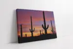 Gün Batımı Ve Kaktüs | Kanvas Tablo | Cam Tablo | Mdf Tablo | A20100