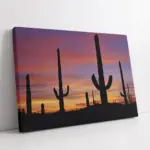 Gün Batımı Ve Kaktüs | Kanvas Tablo | Cam Tablo | Mdf Tablo | A20100
