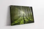 Güneş Ve Yeşil Doğa | Kanvas Tablo | Cam Tablo | Mdf Tablo | A20101