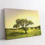 Ağaç Ve Yeşil Doğa | Kanvas Tablo | Cam Tablo | Mdf Tablo | A20112