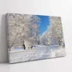 Karlar Altında Kalmış Ağaç | Kanvas Tablo | Cam Tablo | Mdf Tablo | A20114