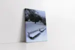 Karlar Altında Kalmış Park | Kanvas Tablo | Cam Tablo | Mdf Tablo | A20157