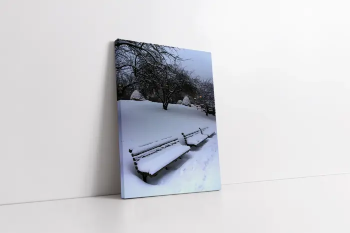 Karlar Altında Kalmış Park | Kanvas Tablo | Cam Tablo | Mdf Tablo | A20157 - Görsel 1