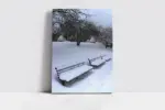 Karlar Altında Kalmış Park | Kanvas Tablo | Cam Tablo | Mdf Tablo | A20157 - Görsel 2
