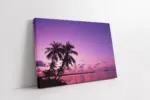Palmiye Ve Gökyüzü | Kanvas Tablo | Cam Tablo | Mdf Tablo | A20165