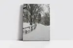 Karlar Altında Kalmış Park | Kanvas Tablo | Cam Tablo | Mdf Tablo | A20179 - Görsel 2