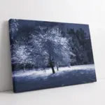 Karlar Altında Kalmış Park | Kanvas Tablo | Cam Tablo | Mdf Tablo | A20226