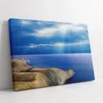 Deniz | Kanvas Tablo | Cam Tablo | Mdf Tablo | A20230