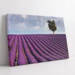 Morlar İçinde Tek Ağaç | Kanvas Tablo | Cam Tablo | Mdf Tablo | A20242