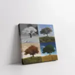 Dört Mevsim Ağaç | Kanvas Tablo | Cam Tablo | Mdf Tablo | A20246