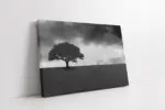 Siyah Beyaz Tek Ağaç | Kanvas Tablo | Cam Tablo | Mdf Tablo | A20248